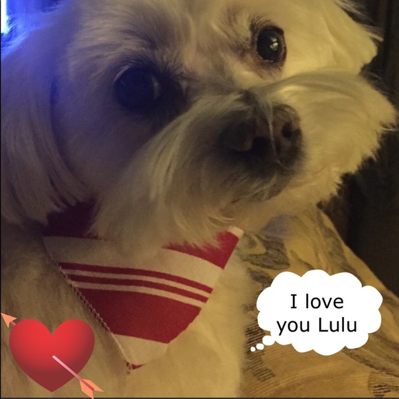 “MEET THE POSHER” so nice to meet you🌷 - Picture 8 of 17